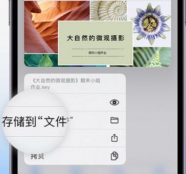 蛟河apple维修中心分享iPhone文件应用中存储和找到下载文件