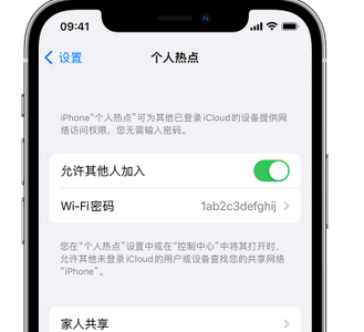 蛟河apple服务站点分享iPhone上个人热点丢失了怎么办