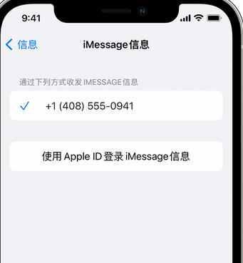 蛟河apple维修iPhone上无法正常发送iMessage信息 