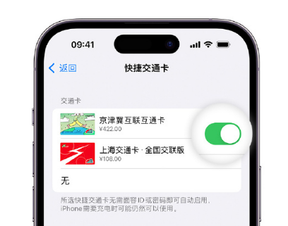 蛟河apple维修点分享iPhone上更换Apple Pay快捷交通卡手绘卡面 