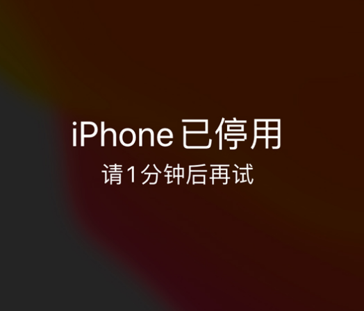 蛟河苹果手机维修分享:iPhone 显示“不可用”或“已停用”怎么办？还能保留数据吗？ 