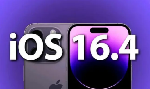 蛟河苹果14维修分享：iPhone14可以升级iOS16.4beta2吗？ 