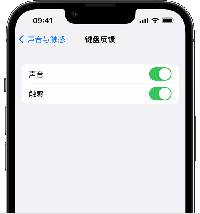 蛟河苹果14维修店分享如何在 iPhone 14 机型中使用触感键盘 