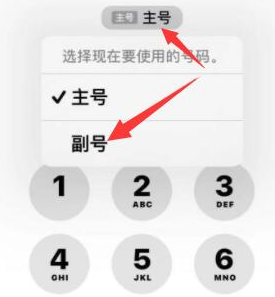 蛟河苹果14维修店分享iPhone 14 Pro Max使用副卡打电话的方法 