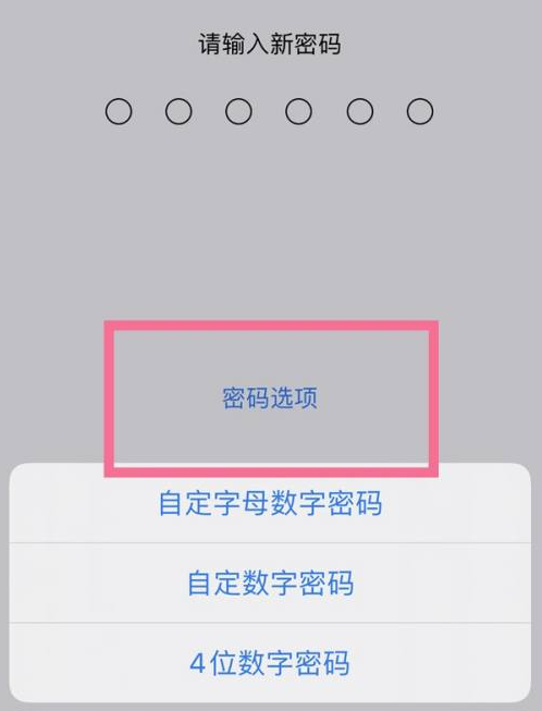 蛟河苹果14维修分享iPhone 14plus设置密码的方法 