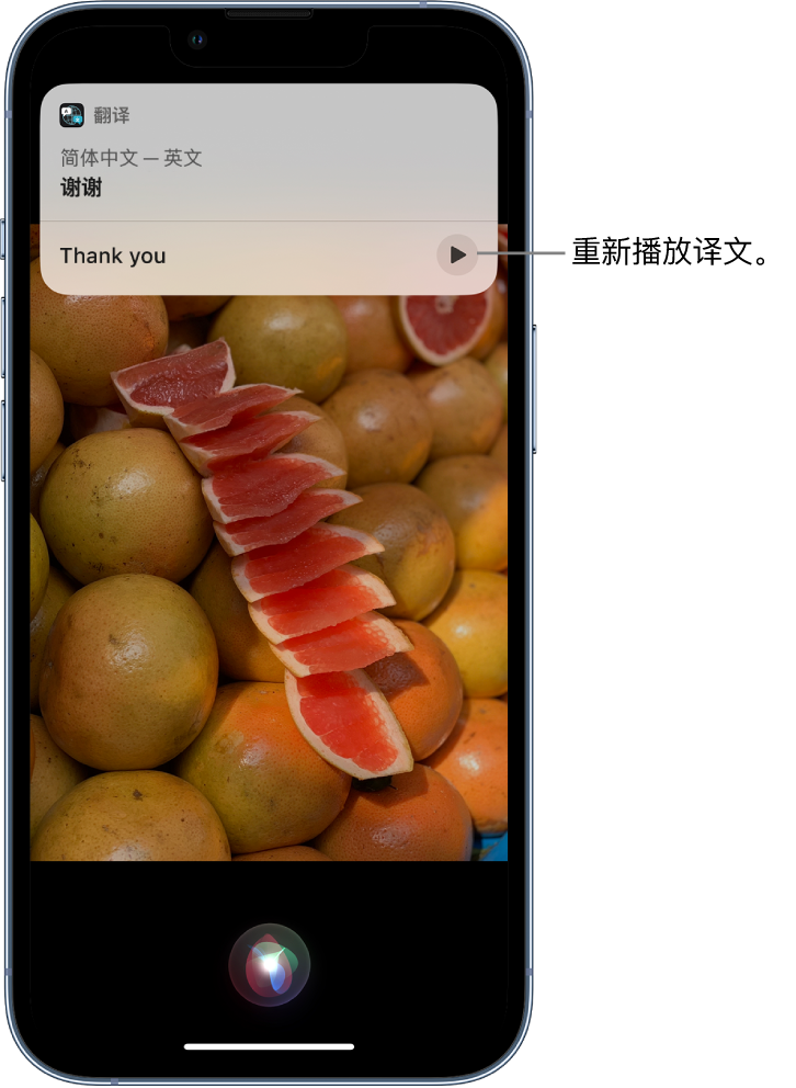 蛟河苹果14维修分享 iPhone 14 机型中使用 Siri：了解 Siri 能帮你做什么 