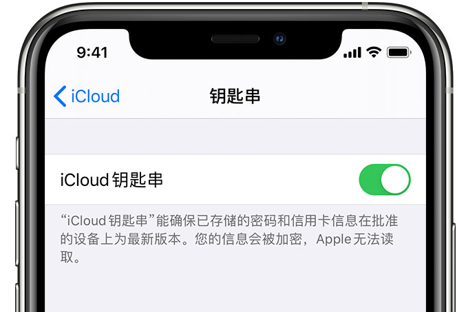 蛟河苹果手机维修分享在 iPhone 上开启 iCloud 钥匙串之后会储存哪些信息 