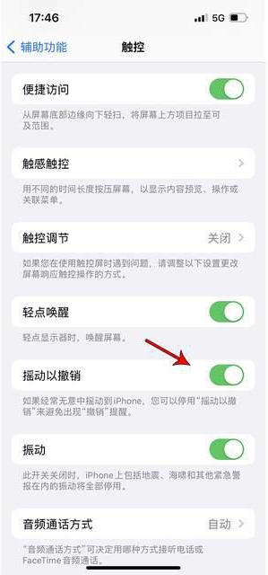 蛟河苹果手机维修分享iPhone手机如何设置摇一摇删除文字 